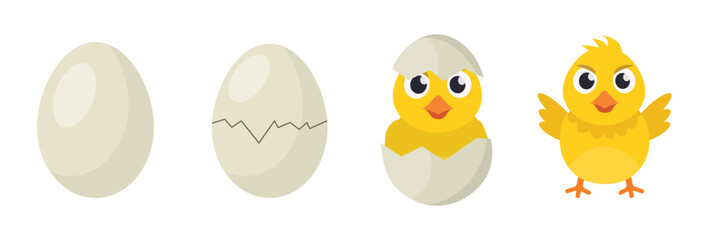 chicken hatching stages. baby chick born from egg. yellow cartoon chicks, cracked shell, cartoon chicks growth stages. vector cartoon birds © artem0nika