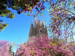 Sagrada Familia au printemps en chantier