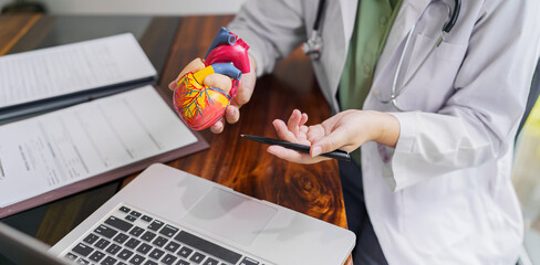 Cardiology Consultation treatment of heart disease. Doctor cardiologist while consultation showing anatomical model on laptop online consultation