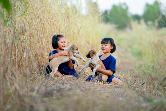 Couple Asian girls enjoy and fun to play with baby dogs and they sit near rice field with soft light of evening.