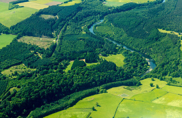 Forest Aerial View © ANDREW NORRIS