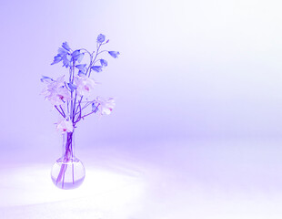 Tender campanula and aquilegia flowers in glass vessel on lilac background.