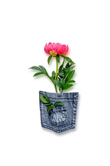 Old jeans pocket for gardening supplies. Making decoratins from shabby clothes. Concept of things reuse and natural resources preserving.