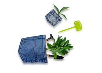 Old jeans pocket for gardening supplies. Making decoratins from shabby clothes. Concept of things reuse and natural resources preserving.