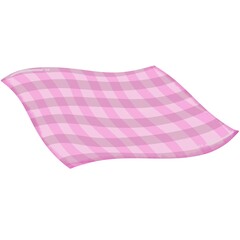 picnic blanket