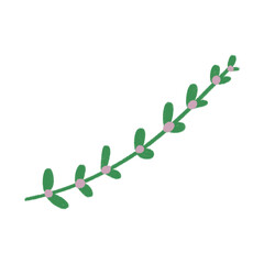 Leaves, vines, for decoration