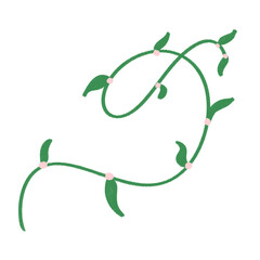 Leaves, vines, for decoration