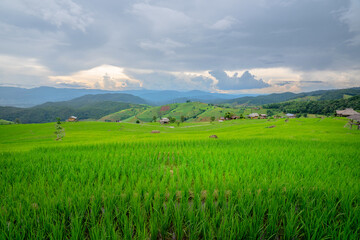 Rice terrace Pa Bong Piang Rice Terraces in Mae Chaem, Chiang Mai, Thailand. Beautiful mountain with rice terraces. The village is in a valley.