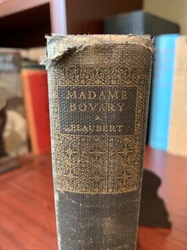 Seattle, WA, USA
July 20, 2023
Madame Bovary
