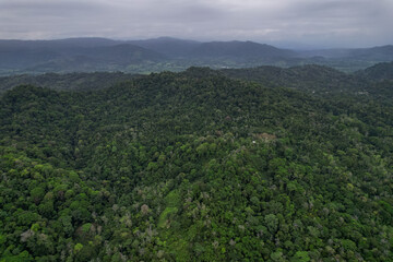 Beautiful aerial view of the Costa Rica Rainforest in the Talamanca Region