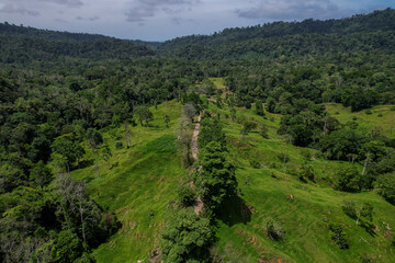 Beautiful aerial view of the Costa Rica Rainforest in the Talamanca Region