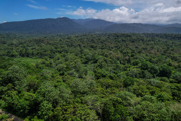 Fototapeta na wymiar Beautiful aerial view of the Costa Rica Rainforest in the Talamanca Region