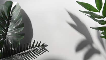 Tropical leaves over grey table casting shadow on white wall with pattern