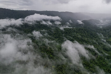 Beautiful aerial view of the Costa Rica Rainforest in the Talamanca Region