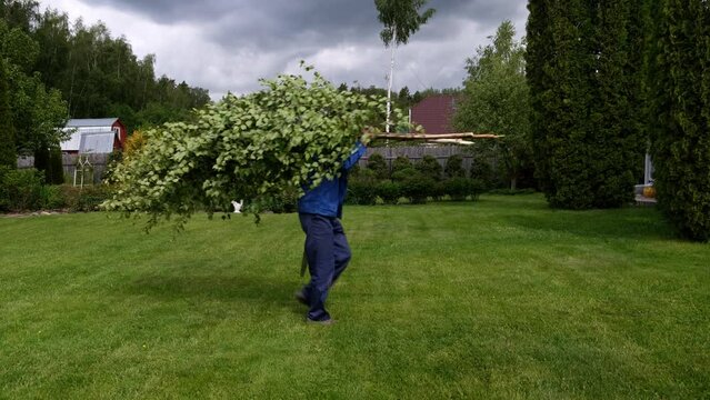 The gardener has cut down a large tree and is carrying it to the compost pit. On a sunny day.