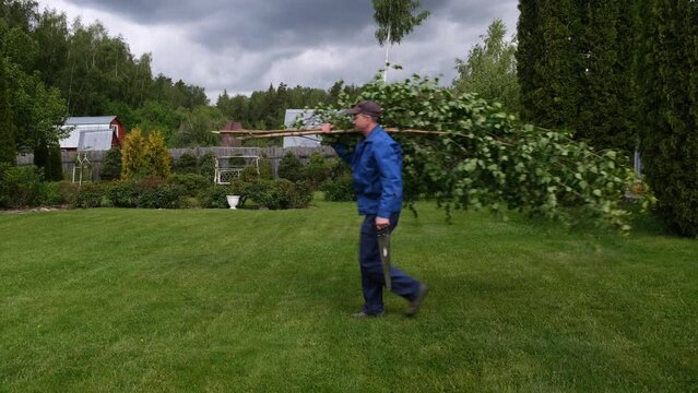 The gardener has cut down a large tree and is carrying it to the compost pit. On a sunny day.