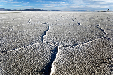 cracked salt lake