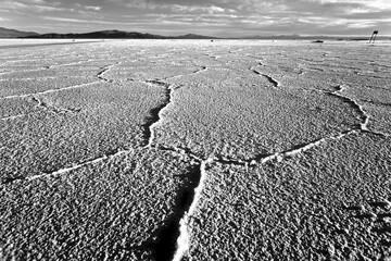cracked salt lake