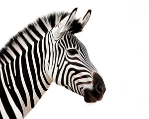 Foto op Canvas zebra close up © Andrey