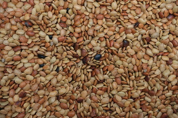 Horse gram  Beans used in Indian cooking .pulses background texture