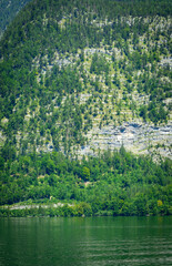 View of green trees on a low mountain above the lake