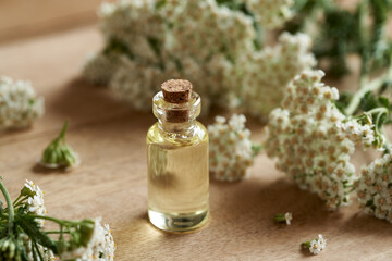 Bottles of essential oil with blooming yarrow twigs