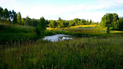 Fototapeta premium Landscape 