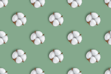 Cotton flower seamless pattern isolated on green background. Top view, flat lay, wallpaper, backdrop