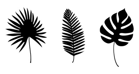 Icon set of Tropical leaves silhouette. Vector illustration
