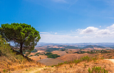 Fototapeta premium Tuscany landscape and clouds 
