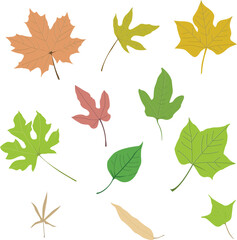 different kind of autumn leaves pattern, leaf, autumn, leaves, nature, fall, maple, vector, pattern, tree, illustration, season, plant, seamless, design, orange, yellow, floral, set, decoration, oak