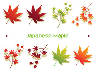 Japanese maple leaf vector set, autumn, leaf, vector, maple, illustration, design, symbol, icon, star, pattern, art, leaves, season, fall, sun, color, nature, set, yellow, decoration, orange, summer