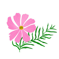 Pink cosmos flower isolated element. Cute wildflower illustration, simple meadow plant, hand drawn style.