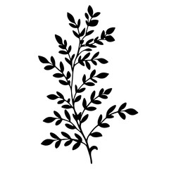 Branch with leaves and stem silhouette. Vector illustration