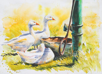 Summer rural farm landscape. White geese at the green pump and the old tub.Picture created with watercolors.