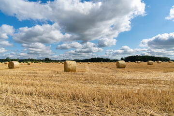 Fototapeta na wymiar Getreideernte - Strohballen liegen auf abgeernteten Getreidefeld.