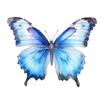 Watercolor blue butterfly . Generative Ai