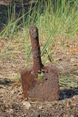one old small brown rusty iron sapper shovel in the gray earth and green grass on the street