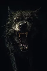 Fotobehang werewolf face closeup. evil looking dog wolf. black wolf. sharp fangs. © ana