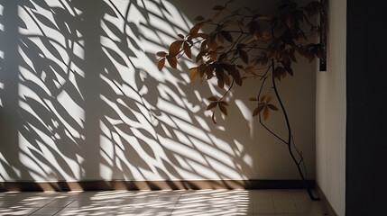 The shadow of the plant on the wall in the room. Light from the window.