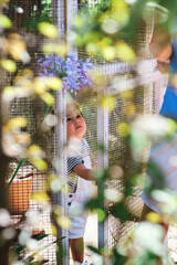Fototapeta na wymiar Child playing in a country house garden inside a bird cage