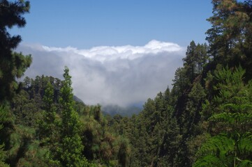 Obraz na płótnie Canvas Wolkenwasserfall auf La Palma