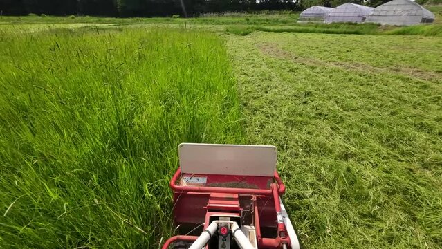 モアで草刈り