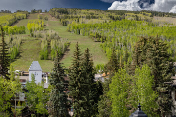  Vail Mountain in June