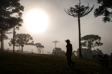 Gaucho man in the backlight, walking in the mountain farm with a lot of fog

