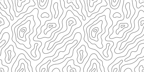 Abstract topographic map outline seamless pattern. Modern minimalist black and white topography landscape background design. Relief contour land line drawing wallpaper print texture.	