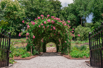 Formal rose garden with arching trellises