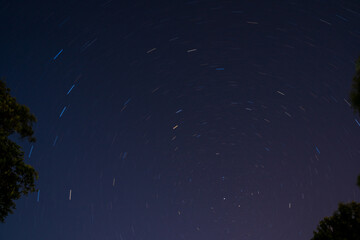 Fototapeta na wymiar Stars over trees at night, long exposure.