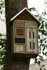 a small insect hotel on a tree with house in background