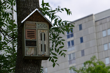 a small insect hotel on a tree